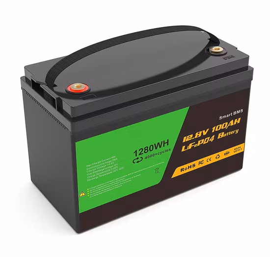 12V 24V Lithium Battery 100ah 200ah 300ah 50ah 12V/24V LiFePO4 Battery for Solar Factory Price